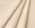 Amigo BONE